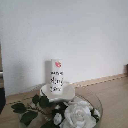 Apartment Novolina 2